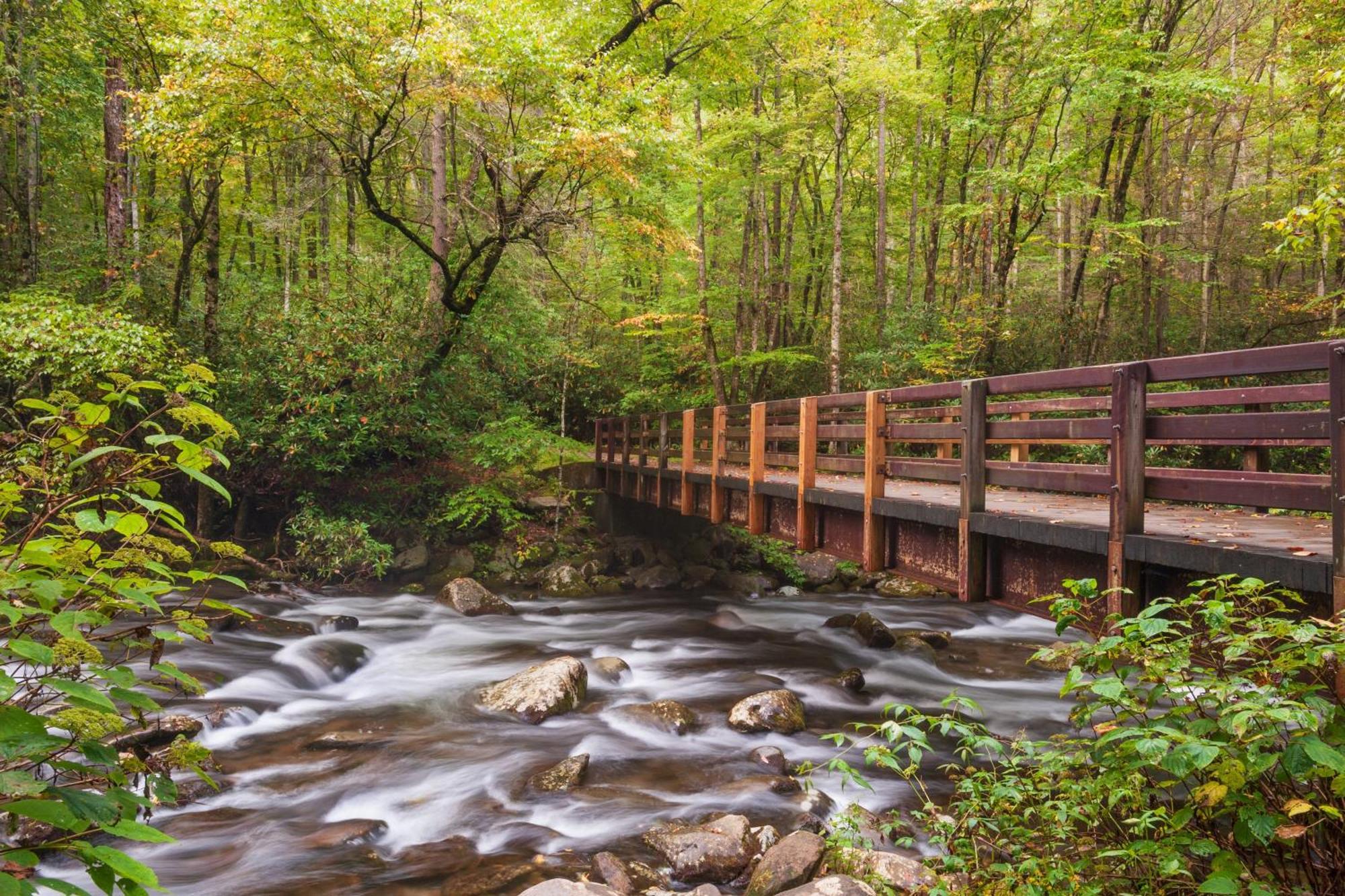 Apple Valley Hideaway, 1089 Of Free Attraction Tickets For Each Paid Day, Dollywood And More! Pigeon Forge Kültér fotó