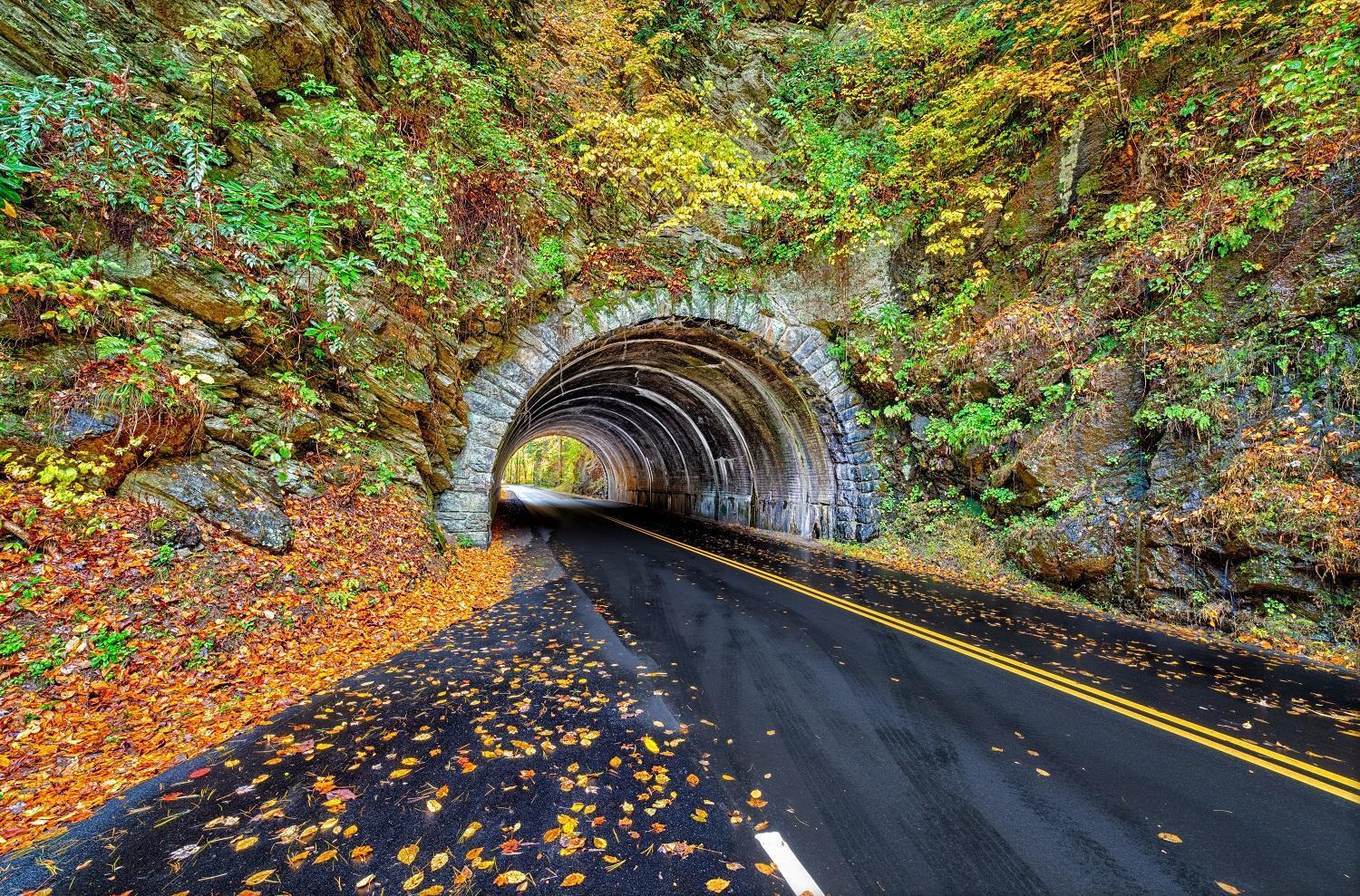 Apple Valley Hideaway, 1089 Of Free Attraction Tickets For Each Paid Day, Dollywood And More! Pigeon Forge Kültér fotó