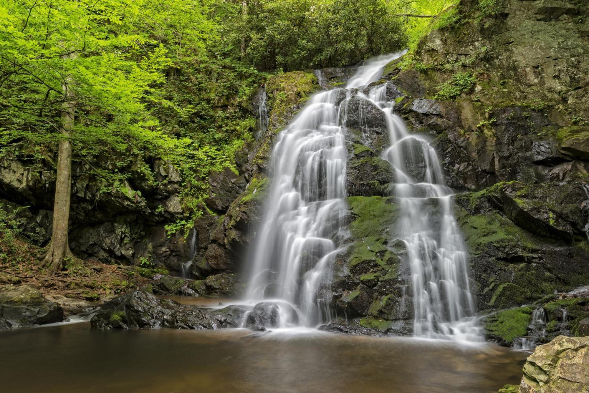 Apple Valley Hideaway, 1089 Of Free Attraction Tickets For Each Paid Day, Dollywood And More! Pigeon Forge Kültér fotó